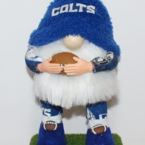 Football Indianapolis Colts 1