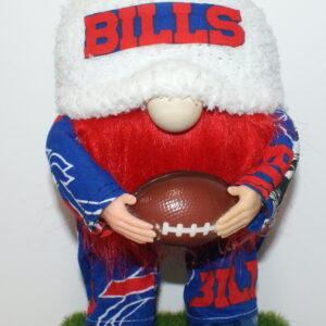 Football Buffalo Bills 10