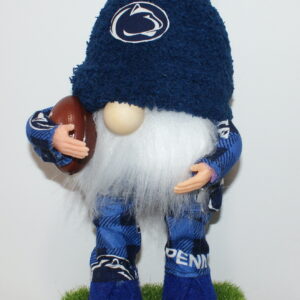 Football Penn State Nittnay Lions 3
