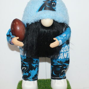 Football Carolina Panthers 1