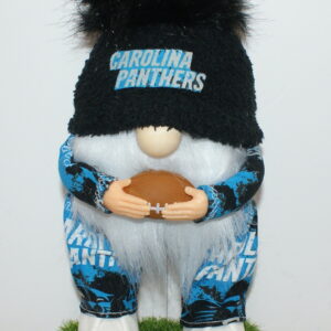 Football Carolina Panthers 2