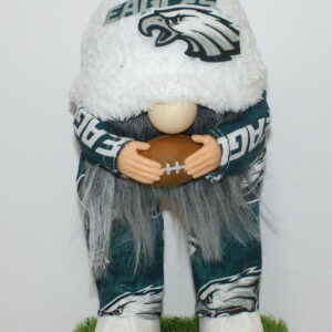 Football Philadelphia Eagles 17