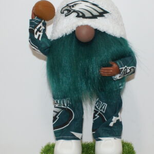 Football Philadelphia Eagles 19