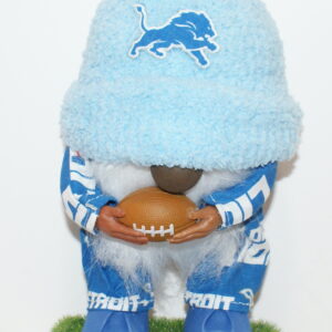 Football Detroit Lions 3