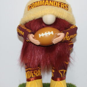 Football Washington Commanders 2