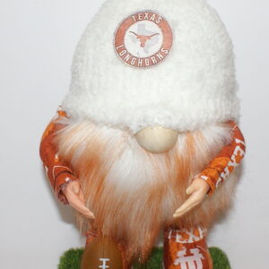 Football Texas Longhorns 4