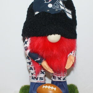 Football Houston Texans 1