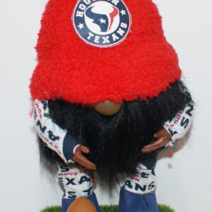 Football Houston Texans 2