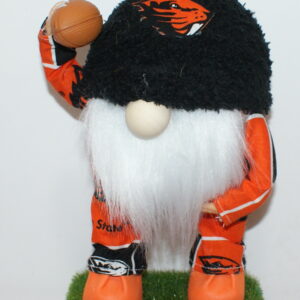 Football Oregon State Beavers 5