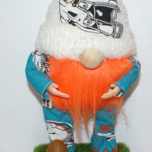 Football Miami Dolphins 5