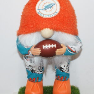 Football Miami Dolphins 7