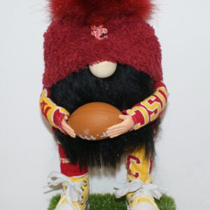 Football USC Trojans 1