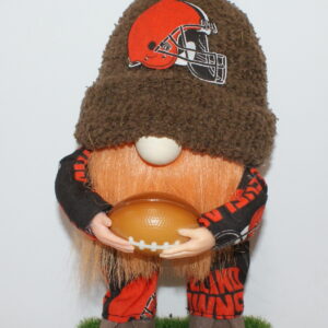 Football Cleveland Browns 3