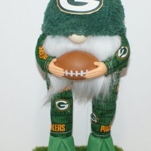 Football Green Bay Packers 21