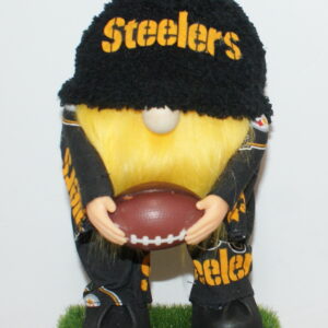 Football Pittsburg Steelers 12