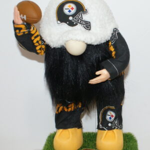 Football Pittsburg Steelers 13