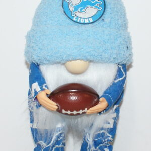 Football Detroit Lions 5