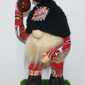 Football SF 49ers 26