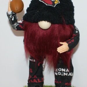 Football Arizona Cardinals 3