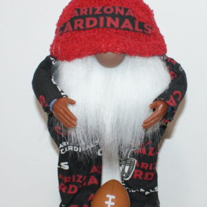 Football Arizona Cardinals 4