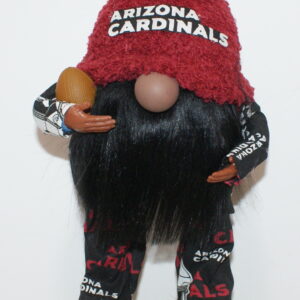 Football Arizona Cardinals 5