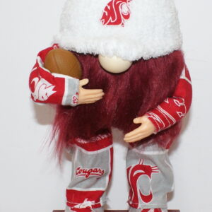 Football WSU Cougars 29