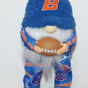 Football Boise State Broncos 2