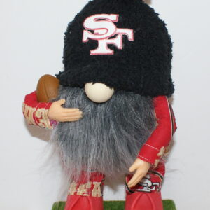 Football SF 49ers 27