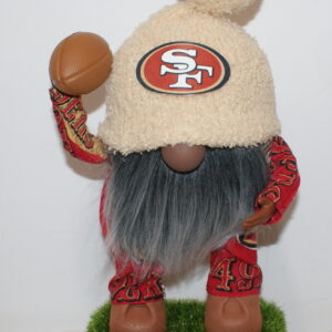 Football SF 49ers 28