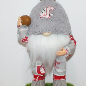 Football WSU Cougars 31