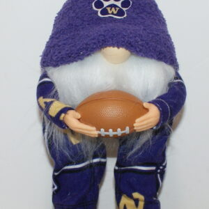 Football UW Huskies 37