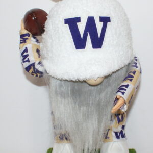 Football UW Huskies 38