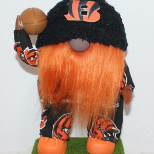 Football Cincinnati Bengals 5