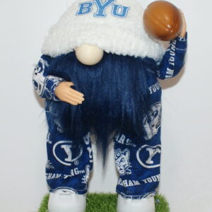 Football BYU Cougars 5