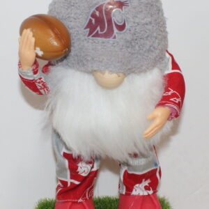 Football WSU Cougars 32