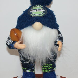Football Seattle Seahawks 144