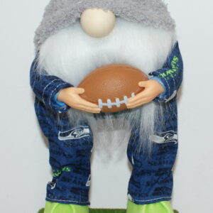Football Seattle Seahawks 146