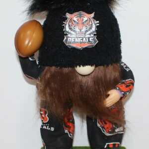 Football Cincinnati Bengals 7