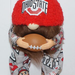 Football Ohio State Buckeyes 12