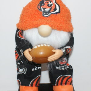 Football Cincinnati Bengals 11