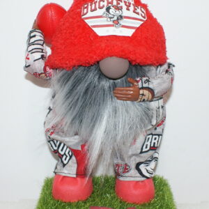 Football Ohio State Buckeyes 14