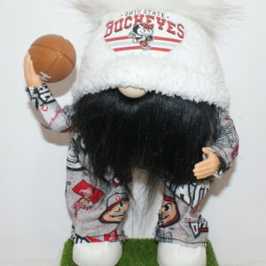 Football Ohio State Buckeyes 16