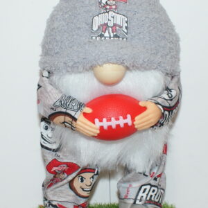 Football Ohio State Buckeyes 18
