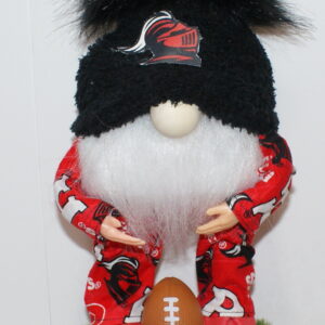 Football Rutgers 3