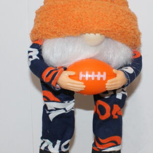 Football Denver Broncos 20