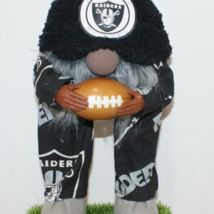 Football Las Vegas Raiders 24