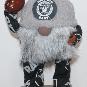 Football Las Vegas Raiders 25