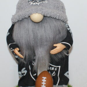 Football Las Vegas Raiders 27