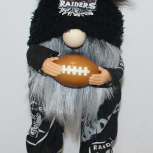Football Las Vegas Raiders 28