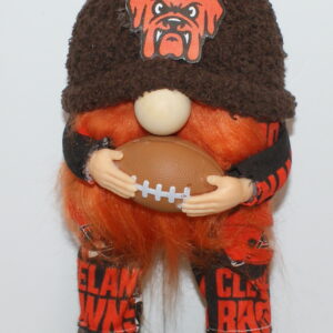 Football Cleveland Browns 4
